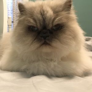 Meet your Posher, Beth